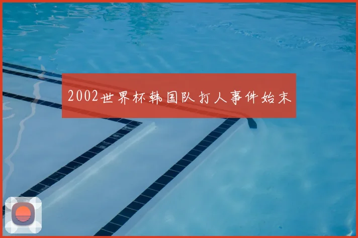 2002世界杯韩国队打人事件始末