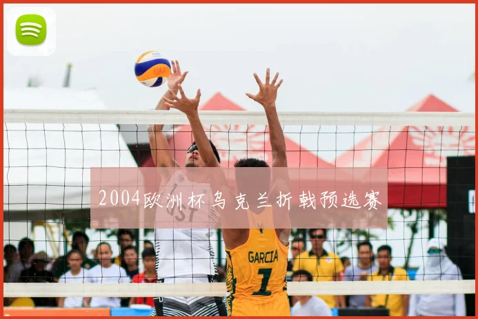 2004欧洲杯乌克兰折戟预选赛