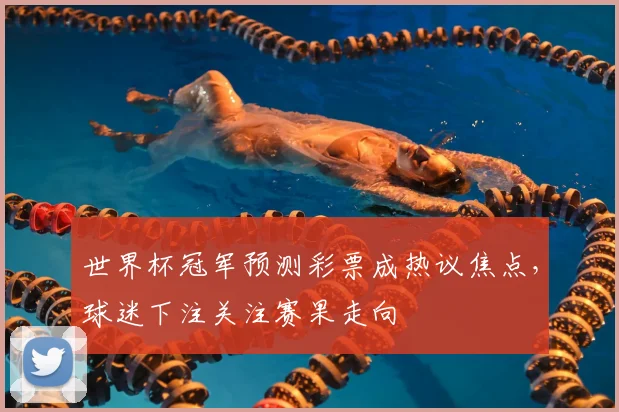 世界杯冠军预测彩票成热议焦点,球迷下注关注赛果走向