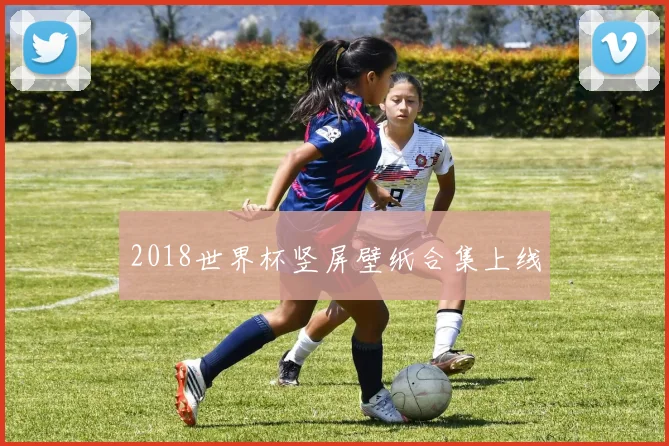 2018世界杯竖屏壁纸合集上线