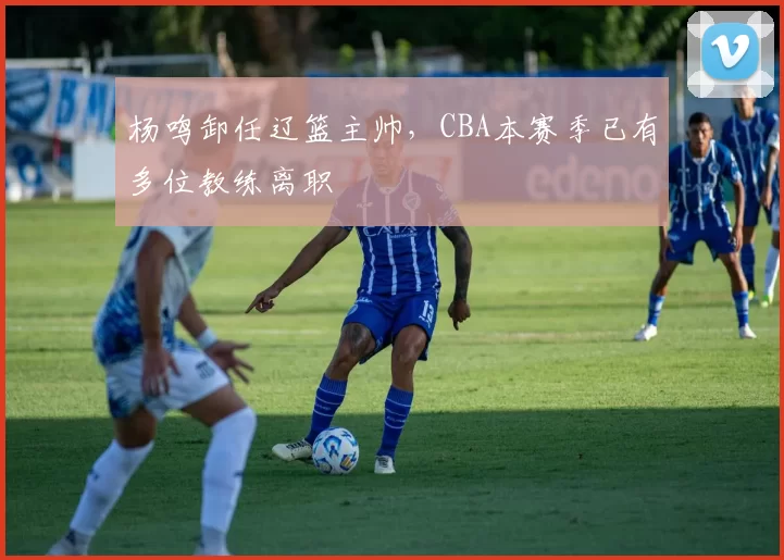 杨鸣卸任辽篮主帅，CBA本赛季已有多位教练离职