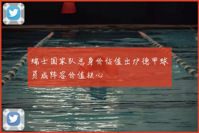 瑞士国家队总身价估值出炉德甲球员成阵容价值核心