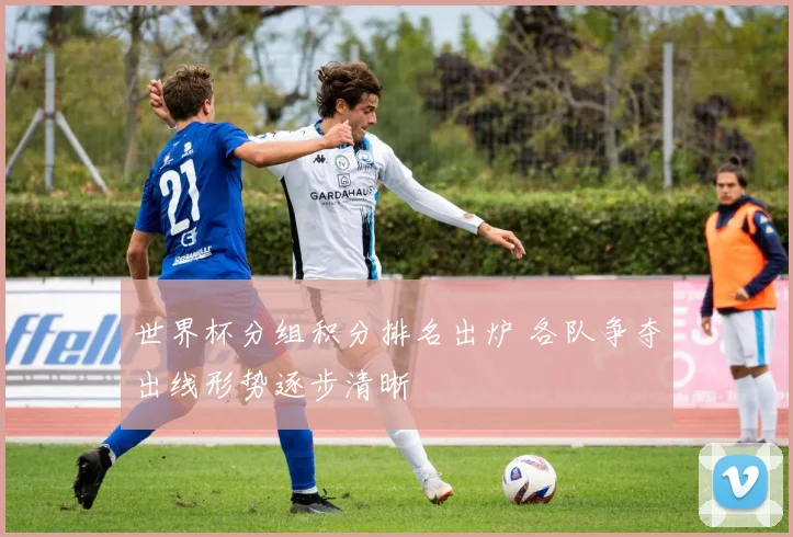 世界杯分组积分排名出炉 各队争夺出线形势逐步清晰